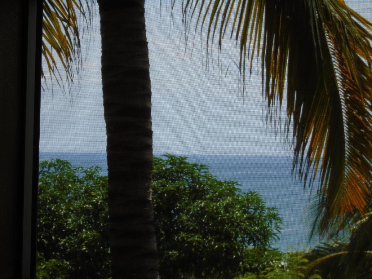 Cabanas Eda Villa Puerto Escondido  Bagian luar foto